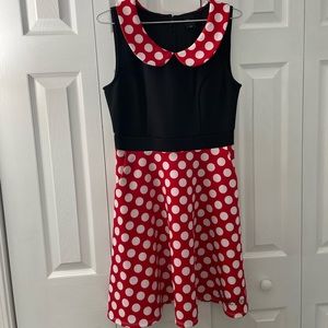 Disney Minnie Mouse Costume!